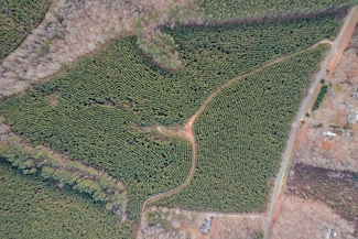 0 Perkins Mill Rd, Dillwyn, VA 23901