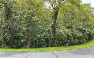 LT 23 Dan Knob Dr, Hayesville, NC 28904