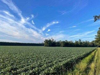 59 ac Old Georgetown Rd, Hemingway, SC 29554