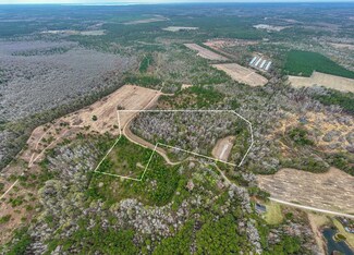 TBD 17 72 Acres Whitmire Ln, Manning, SC 29102