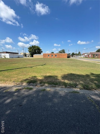 340 Semo Dr, New Madrid, MO 63869