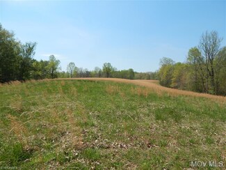 0 Hulderman Ridge Rd Unit M239779, Harrisville, WV 26362