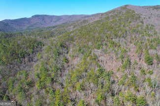 156 + - Acres Off Peeples Lake Rd, Chatsworth, GA 30705