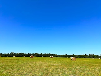 880 Wasden Rd, Hope Hull, AL 36043