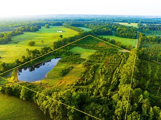 0 Jack Williams Rd, Cedar Bluff, MS 39741