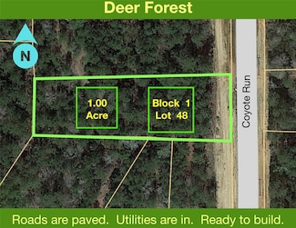 68 Coyote Run, New Waverly, TX 77358