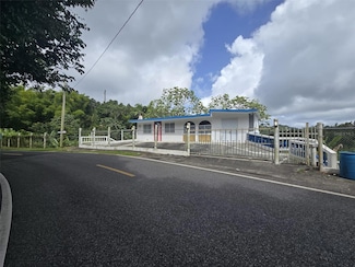 Sr 15 km 20.4 Quebrada Arriba and Culebras Debajo, Cayey, PR 00736