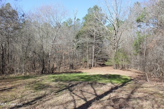 0 Poorhouse Rd, Carrollton, MS 38917