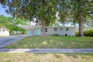 310 Capella Rd, Orange Park, FL 32073