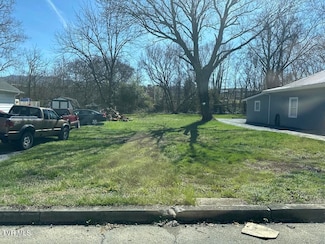 1821 Mary St, Johnson City, TN 37604