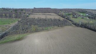 L11 Palmer Rd, Manlius, NY 13104