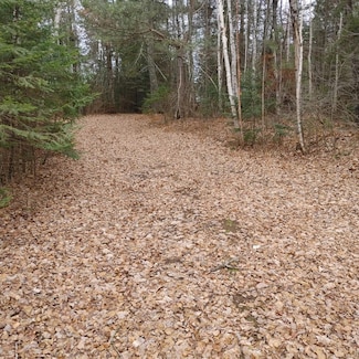 Lot 31 Shady Knoll Rd Unit Lot 31, Fifield, WI 54552