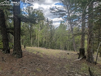 2455 Yorktown Rd, Cripple Creek, CO 80813