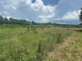 0 Louisiana 1182, Plaucheville, LA 71362