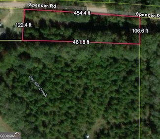 0 Spencer Rd, Dixie, GA 31629