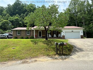11 Greenapple Dr, Delbarton, WV 25670