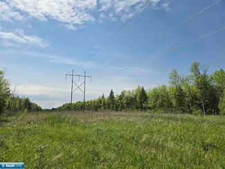 TBD Town Road 166, Littlefork, MN 56653