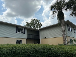217 Thorn Tree Place, Brandon, FL 33510