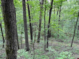 0000-04736-0000 Chimney Rock Rd, Shirley, AR 72153