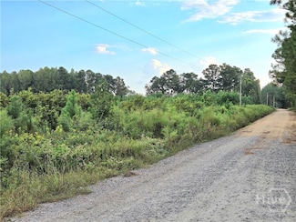 0 G W Oliver Rd, Statesboro, GA 30458