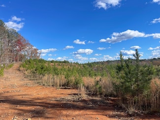 0 County Road 26, Fayette, AL 35555