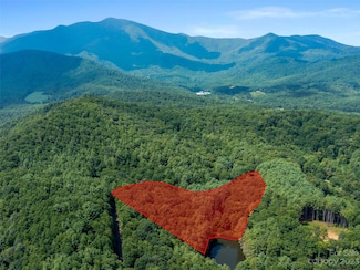 99999 Gordon Way, Burnsville, NC 28714