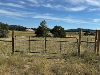 143 Wendy Dr, Cotopaxi, CO 81223