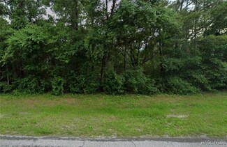 10115 N Athenia Dr, Citrus Springs, FL 34434