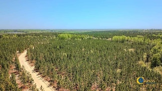 Jw Sowell Rd, Jefferson, SC 29718