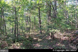0 Hunters Rd Unit VAFV156106, Gore, VA 22637