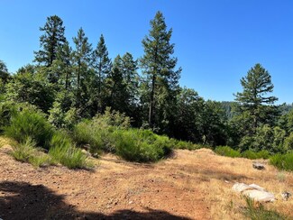 75 Bottle Hill Rd, Georgetown, CA 95634