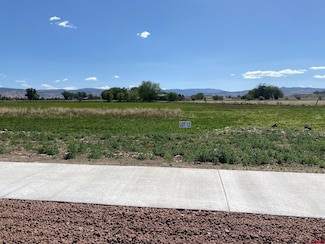 Lot 12 6700 Rd, Montrose, CO 81401