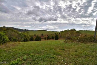 L 24-25 Bald Meadow Ln, Barren Springs, VA 24313