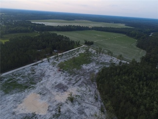 2966 Dean Still Rd, Blackshear, GA 31516