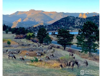 315 Kiowa Dr, Estes Park, CO 80517