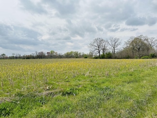 260 Dugout Rd, Summertown, TN 38483