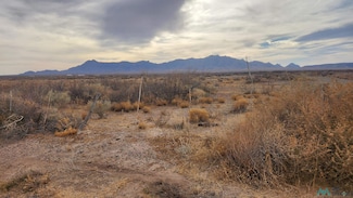 00 Marana Rd SE, Deming, NM 88030