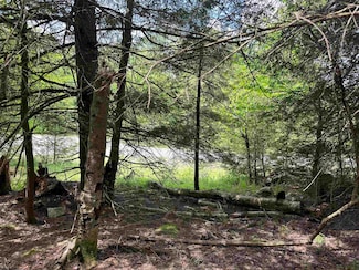 Lot 96 Gondola Ct, Davis, WV 26260