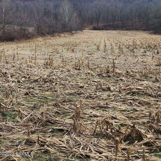 LOT 3 Warrens Rd, Milton, PA 17847