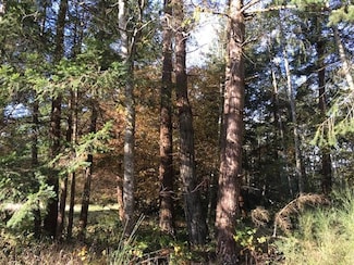 Lot 2 Greenwood Dr, Point Roberts, WA 98281