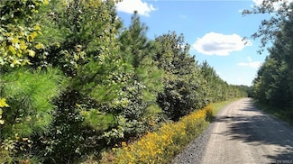 0 Lilly Pond Rd Unit 1732614, King & Queen, VA 23085