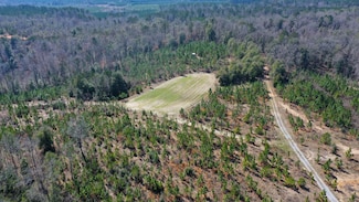 0 Hank Williams Rd Unit 22730471, McKenzie, AL 36456