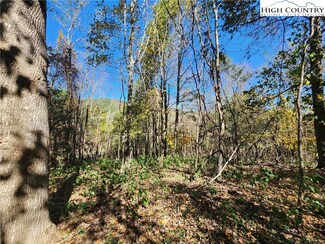 tbd Doe Ridge Dr, West Jefferson, NC 28694