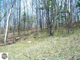 11280 E McKeese Rd, Suttons Bay, MI 49682