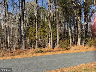 0 Hickman Ln Unit 338, Nanticoke, MD 21840