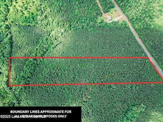 0 Parcel 2 Highway 63 N, Goodwater, AL 35072
