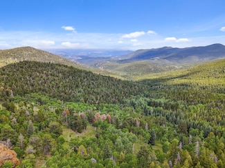 3665 Beaver Brook Canyon Rd, Floyd Hill, CO 80439