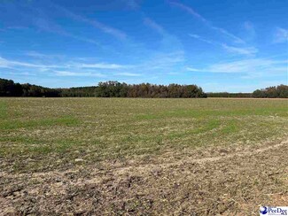 TBD S Carolina 381, Clio, SC 29525