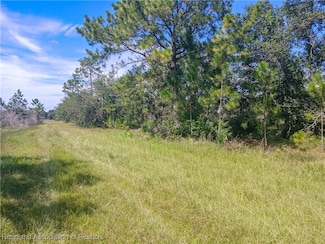 1870 Bear Bryant Rd, Avon Park, FL 33825