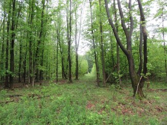 00 State Route 3, Mexico, NY 13114